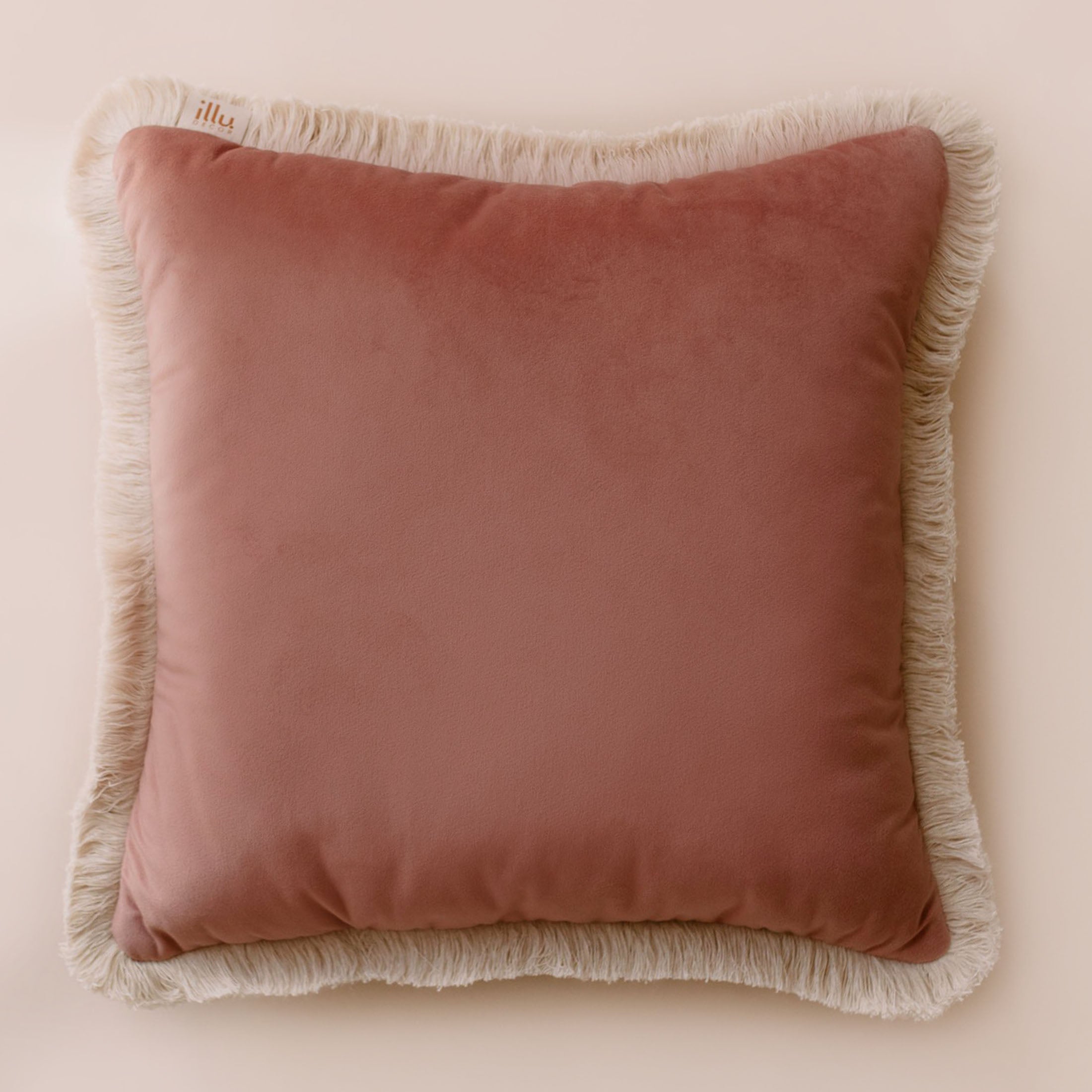 Blush velvet throw top pillow