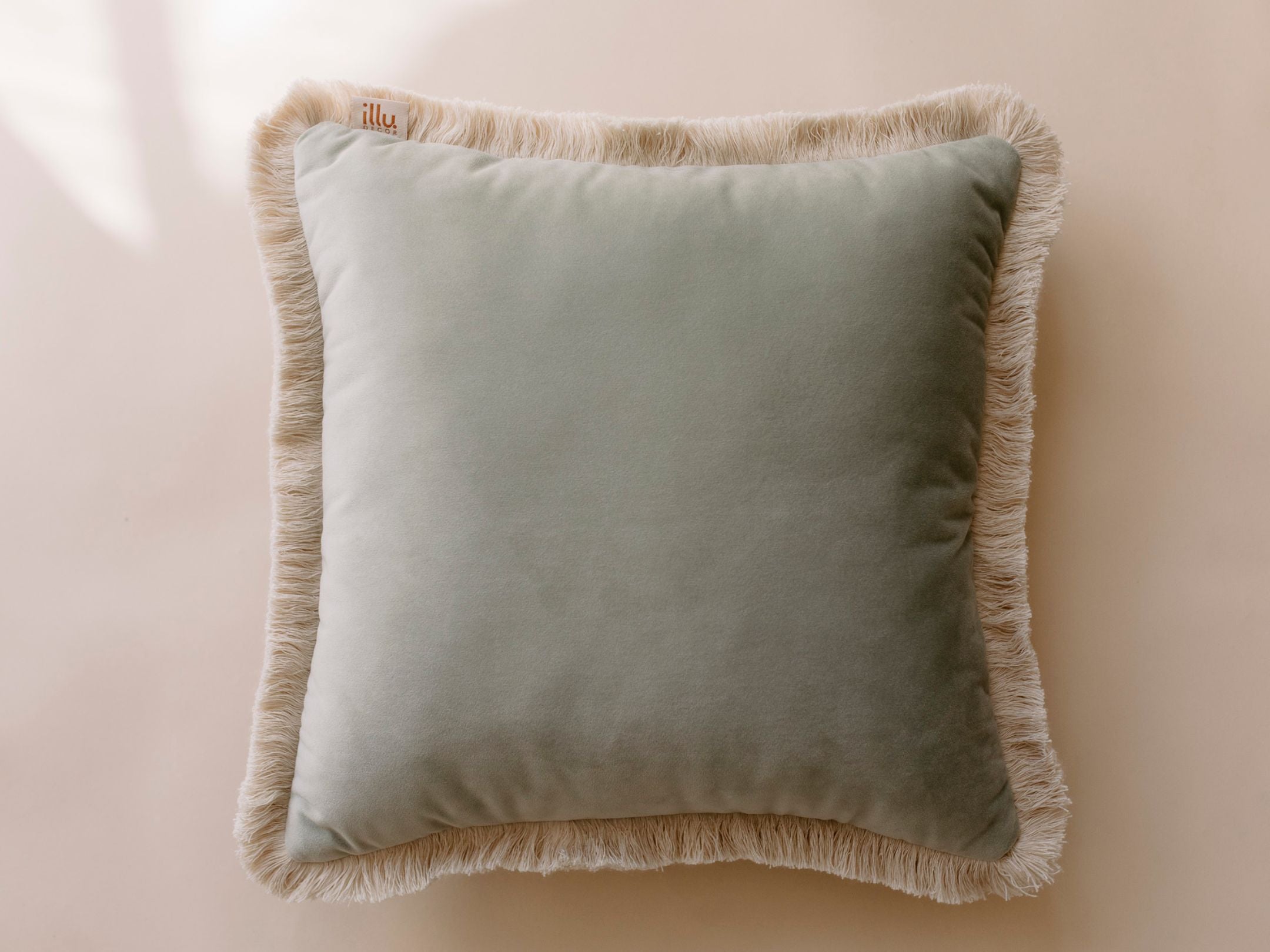 Mint 2024 velvet cushion